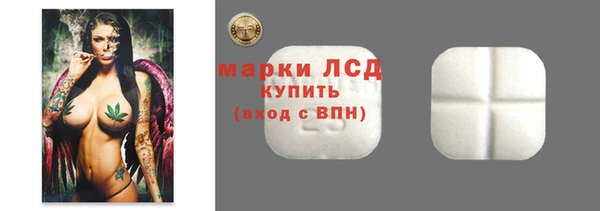 сатива Алзамай