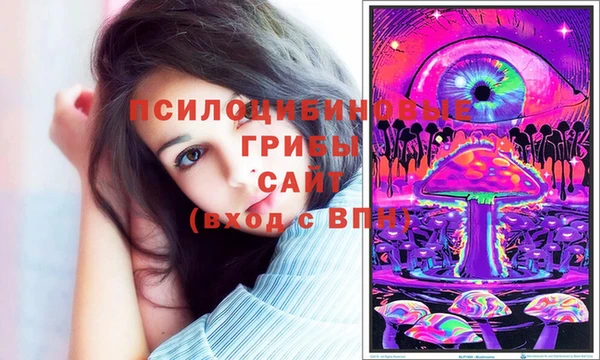 прущие грибы Алексеевка