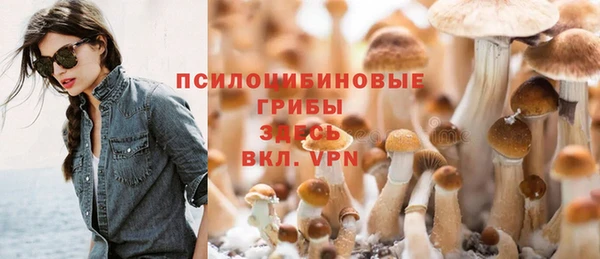 сатива Алзамай