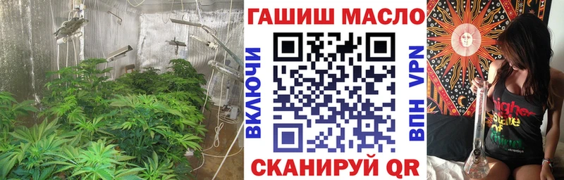 где купить наркоту  Перевоз  Дистиллят ТГК Wax 