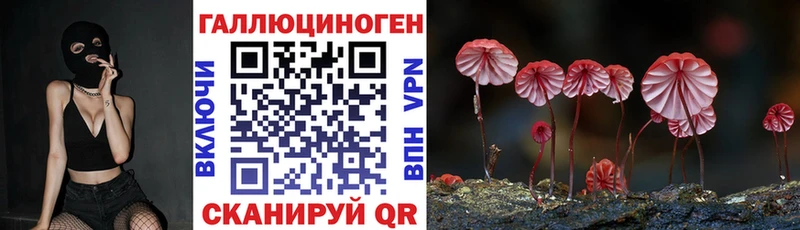 Псилоцибиновые грибы Psilocybine cubensis  МЕГА   Перевоз 